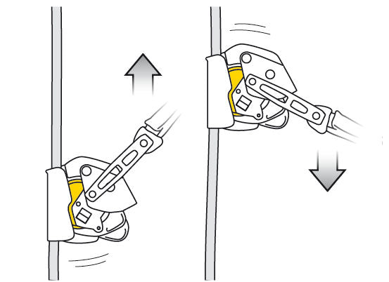 Petzl ASAP® LOCK