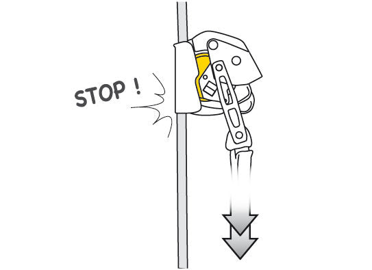 Petzl ASAP® LOCK